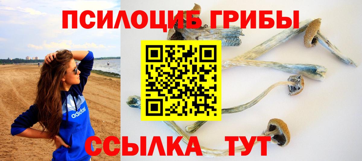 Псилоцибиновые грибы мухоморы  Вход с VPN  Галлюциногенные грибы MAGIC MUSHROOMS  Гусиноозёрск 