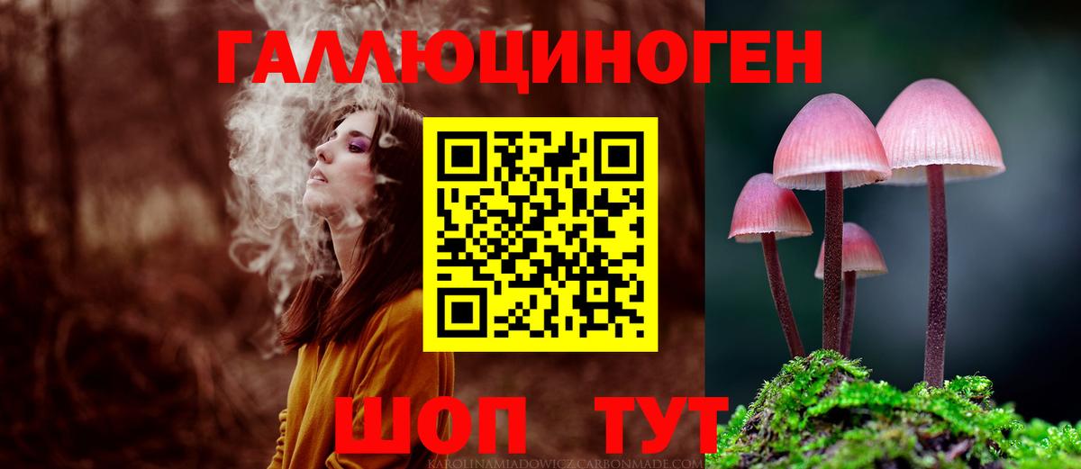 Псилоцибиновые грибы MAGIC MUSHROOMS Гусиноозёрск